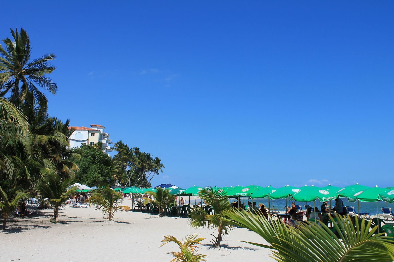 Playa pública de Juan Dolio con palmeras y mar